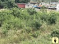 1-plot-of-land-at-afienya-for-sale-small-1