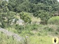 1-plot-of-land-at-afienya-for-sale-small-0