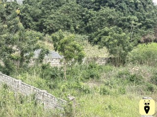 1 PLOT OF LAND AT AFIENYA FOR SALE