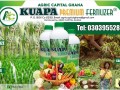 kuapa-premium-organic-fertilizer-small-1