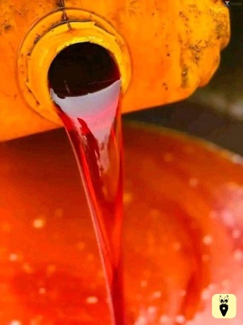 palm-oil-big-1