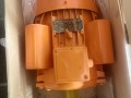 75hp-electric-motor-small-0