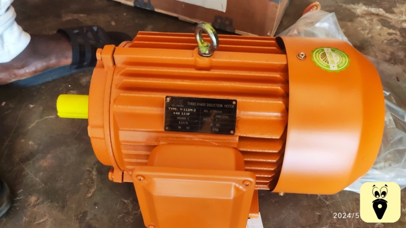 55hp-electric-induction-motor-big-0