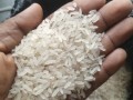 rice-small-2