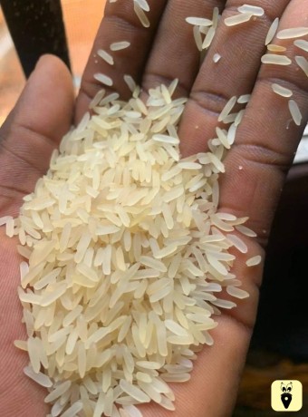 rice-big-0