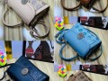 ladies-bags-small-6