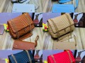 ladies-bags-small-7