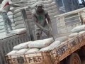 dangote-cement-wholesale-available-small-3