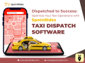 taxi-business-with-smart-dispatch-solutions-small-1